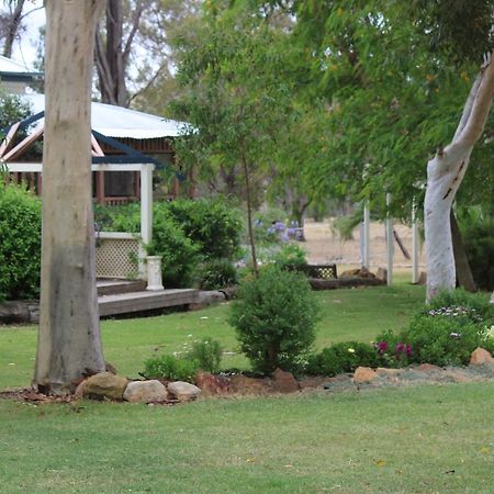 Rosebank Homestead And Farmstay Далби Екстериор снимка