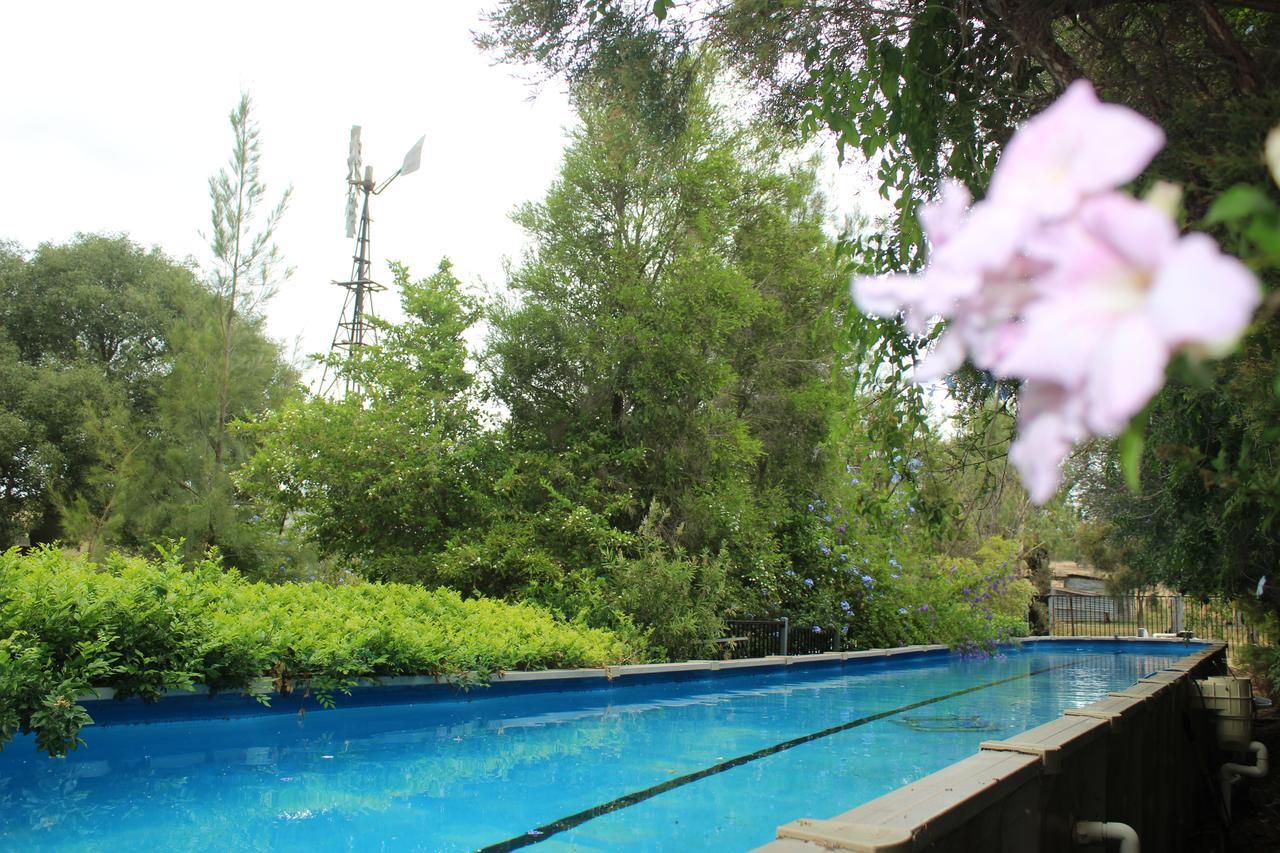 Rosebank Homestead And Farmstay Далби Екстериор снимка